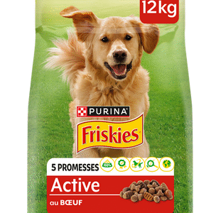 CROQUETTES POUR CHIEN ADULTE AU BŒUF 12KG