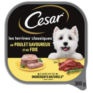 TERRINES CÉSAR 300G